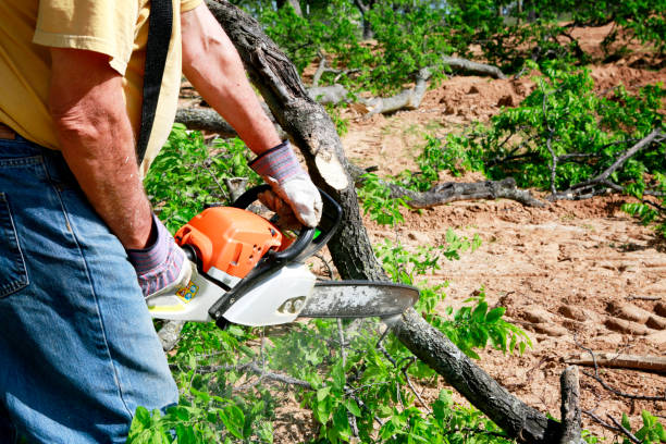 Soil Testing and Treatment in Clancy, MT